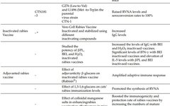 The Evolution of Rabies Vaccines: A Comprehensive Review