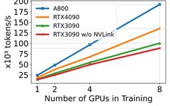 Decoding Performance Issues in Large Model Training, Fine-tuning, and Inference