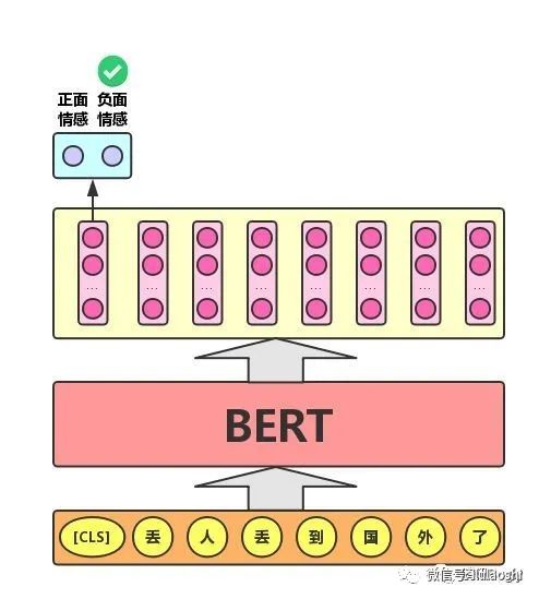 Understanding BERT and HuggingFace Transformers Fine-Tuning