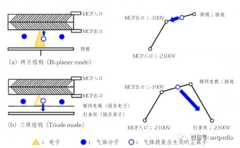 The Spring of Miniature Mass Spectrometers: Hamamatsu's Triode MCP Solves Low Vacuum Challenges