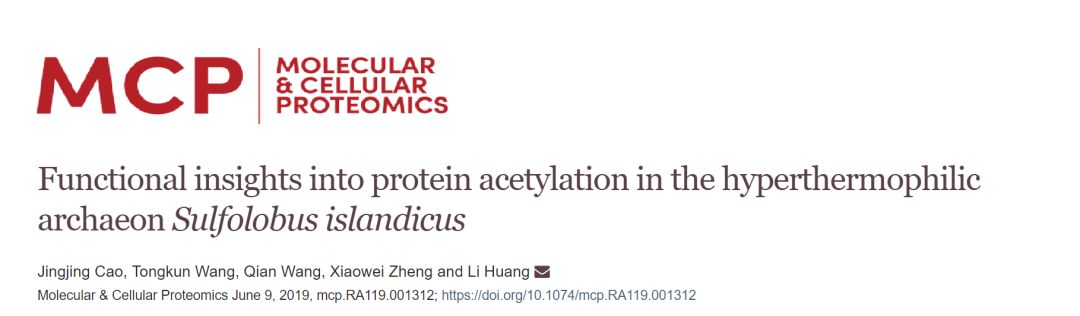 Research on Protein Acetylation Functions in Hyperthermophilic Archaea