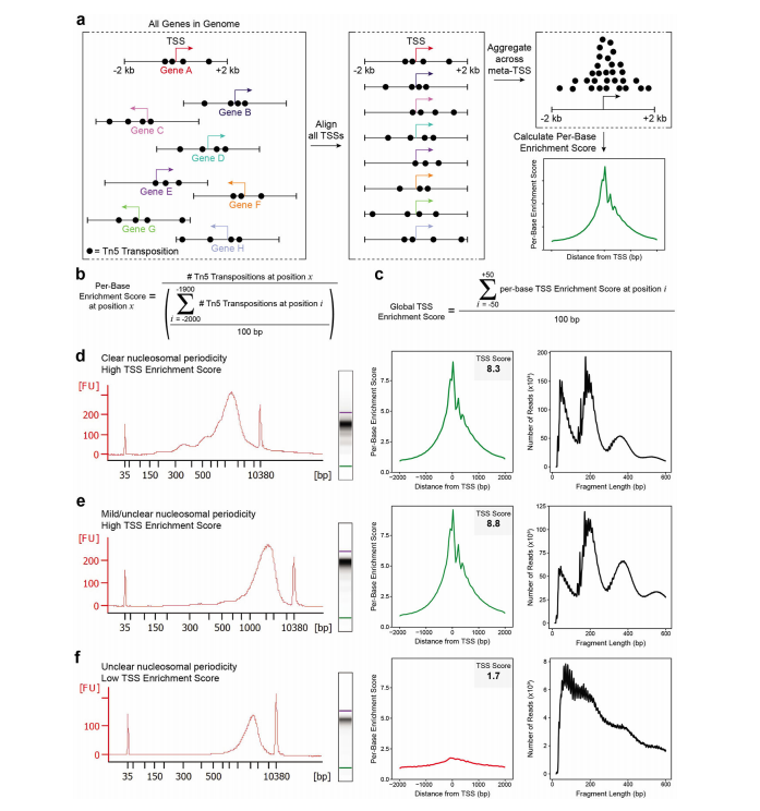 Omni-ATAC: Updated and Optimized ATAC-seq Protocol