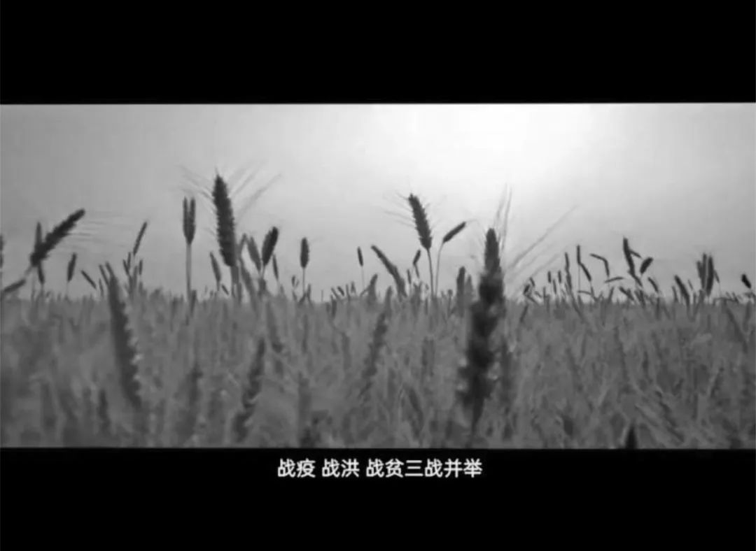 Translation Study of Province Presenting Film from Multimodal Perspective
