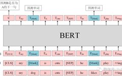Understanding BERT and HuggingFace Transformers Fine-Tuning