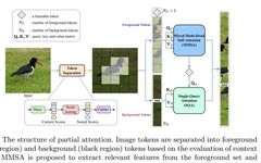 Efficient Vision Transformers With Partial Attention