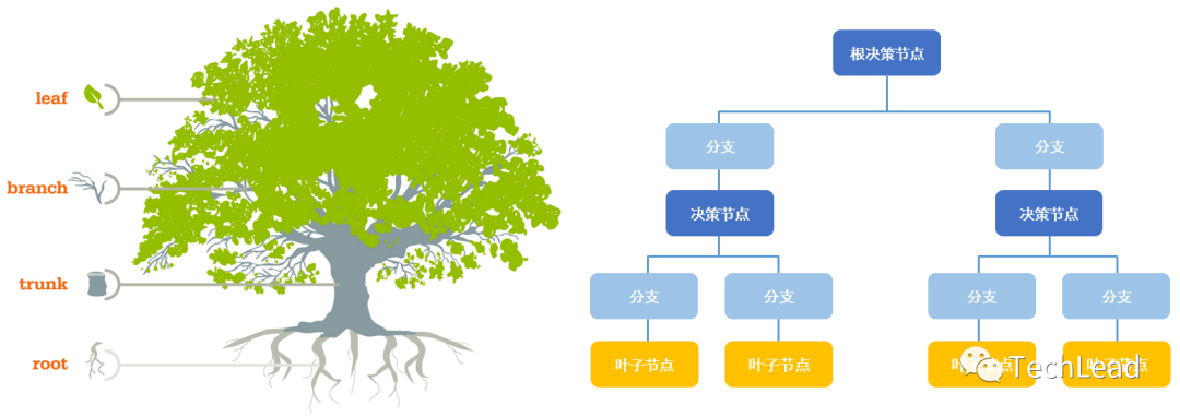 Weaving Artificial Intelligence: Overview of Machine Learning Development and Key Technologies