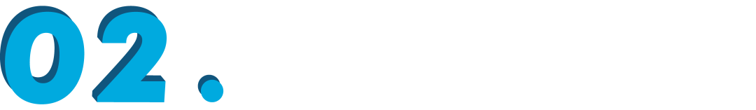 Few-Shot NER with Dual-Tower BERT Model