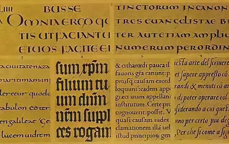 Language Families and Machine Translation Challenges