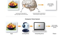 Commercial Applications of Computer Vision