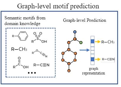 A Comprehensive Overview of Graph Transformers