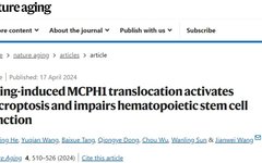 New Mechanism of DNA Damage-Induced Aging in Hematopoietic Stem Cells