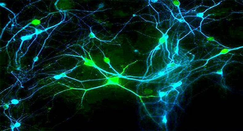 Ultra-Low Power AI Chip: Neural Pulses Require Only 0.02% Energy