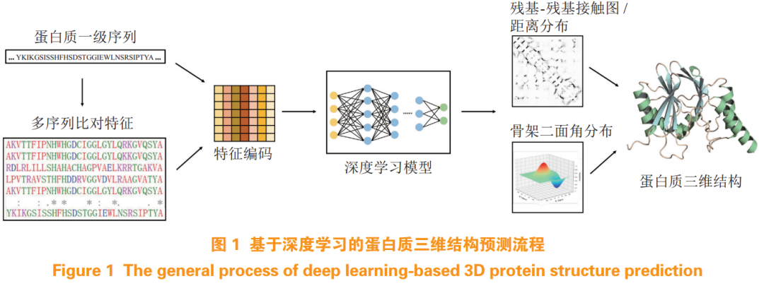 Understanding Deep Learning Technology in Drug Discovery