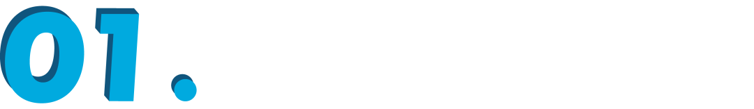 Few-Shot NER with Dual-Tower BERT Model