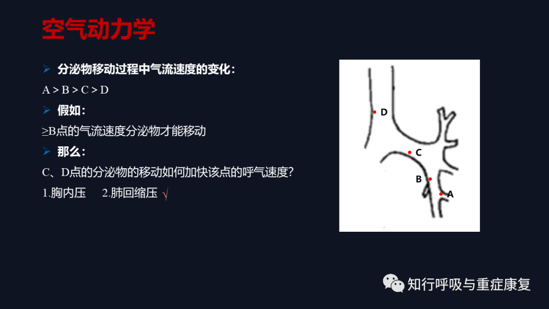 Airway Clearance Techniques - Physiological Basis