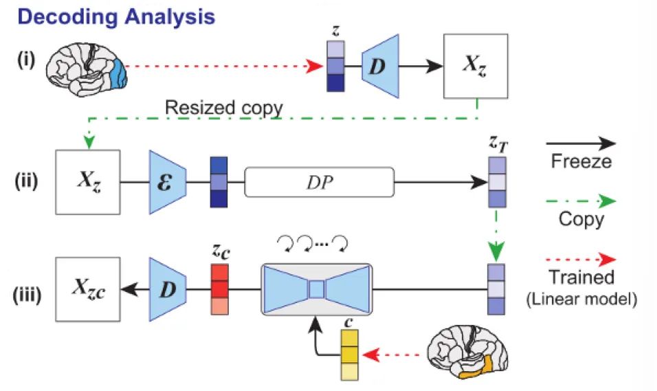 Is Mind Reading Real? How Brain-Machine Interfaces Propel Humanity Towards Transhumanism