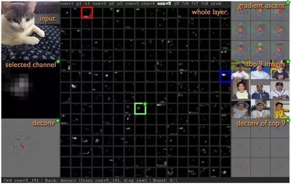Essential Readings in Computer Vision: Tracking, Compression, Classification, and Recognition