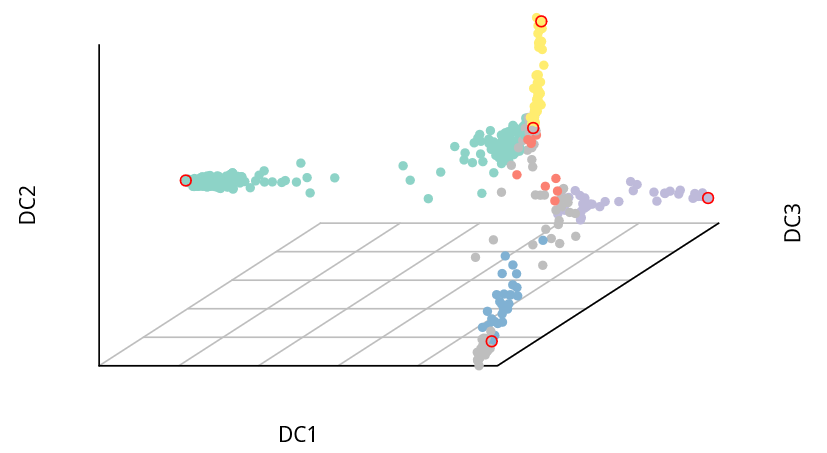 Single-Cell RNA-Seq Analysis: Diffusion Pseudotime Reconstruction of Single-Cell Lineage Branching
