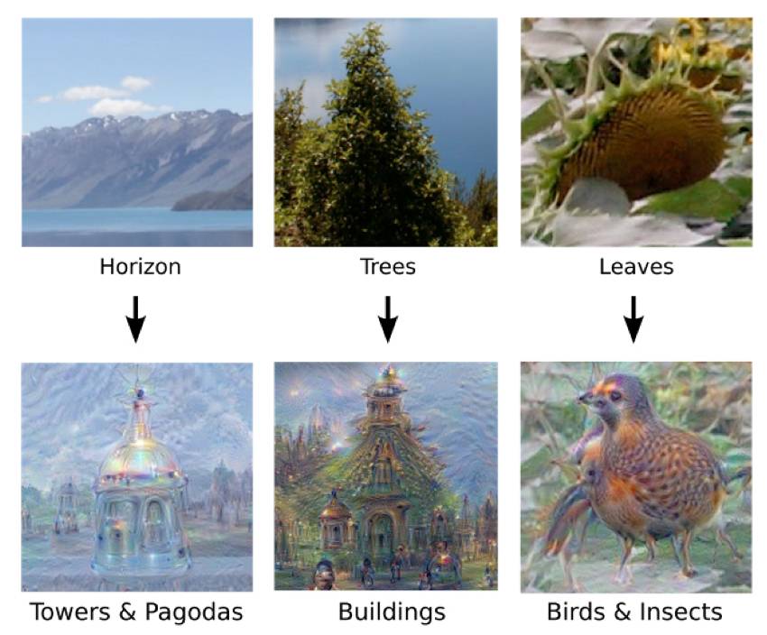 Do Neural Network Algorithms Create Copyrightable Works?