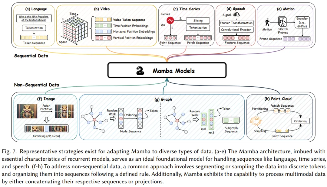 Understanding Mamba: The Strongest Competitor to Transformers