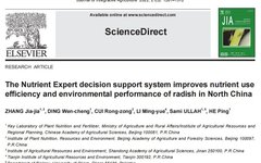 Nutrient Expert System Enhances Radish Nutrient Efficiency in North China