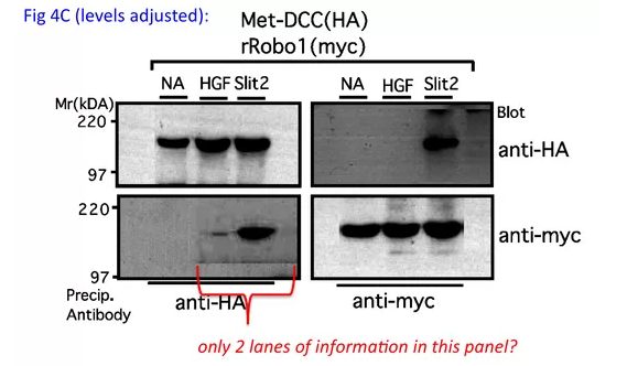 Understanding Image Misconduct in Scientific Papers