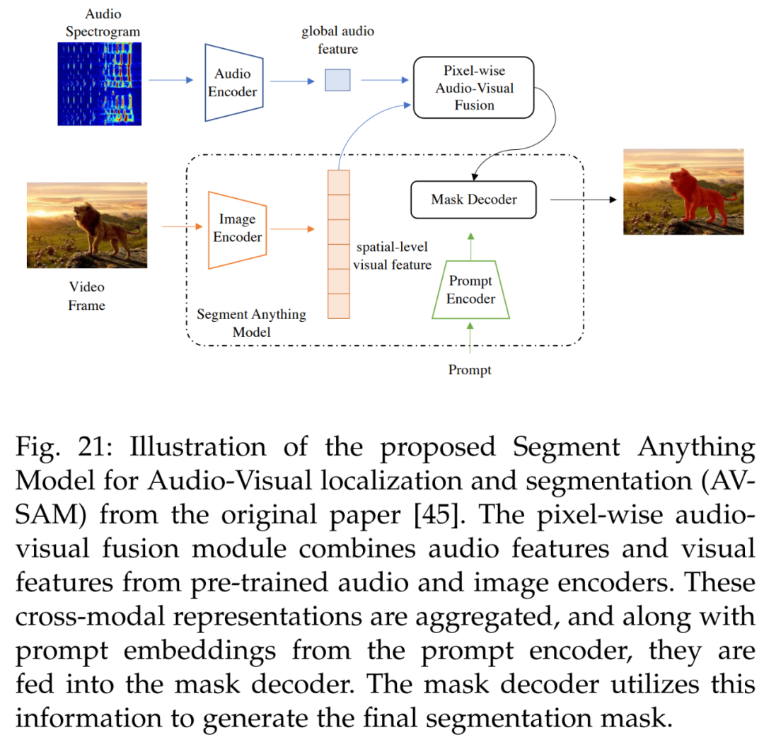 Overview: A Comprehensive Survey on Segment Anything Model (SAM)