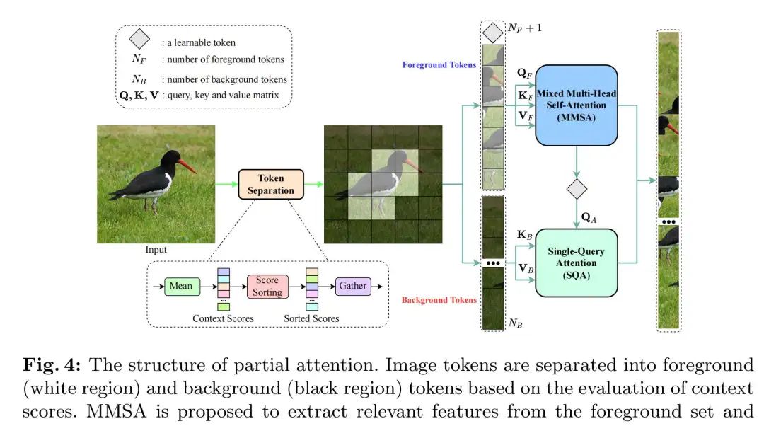 Efficient Vision Transformers With Partial Attention