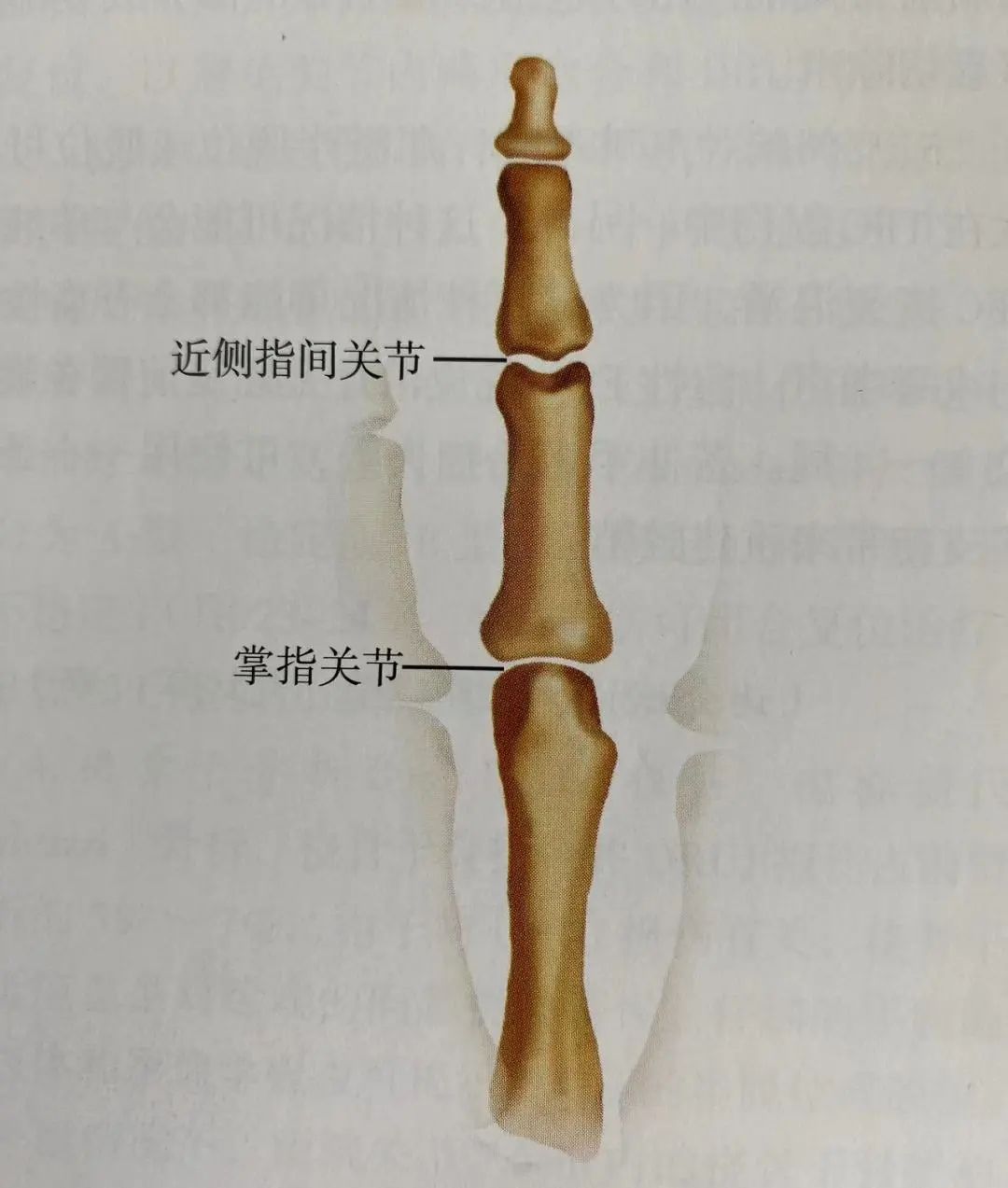 Comprehensive Summary: Treatment Strategies for Four Types of Hand Joint Injuries
