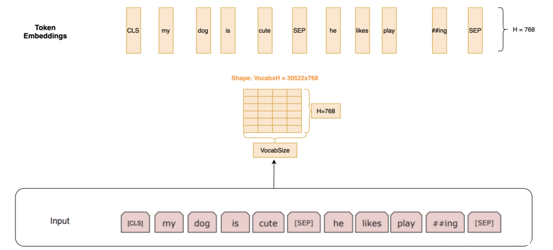 Understanding BERT: The Essence, Principles, and Applications of BERT