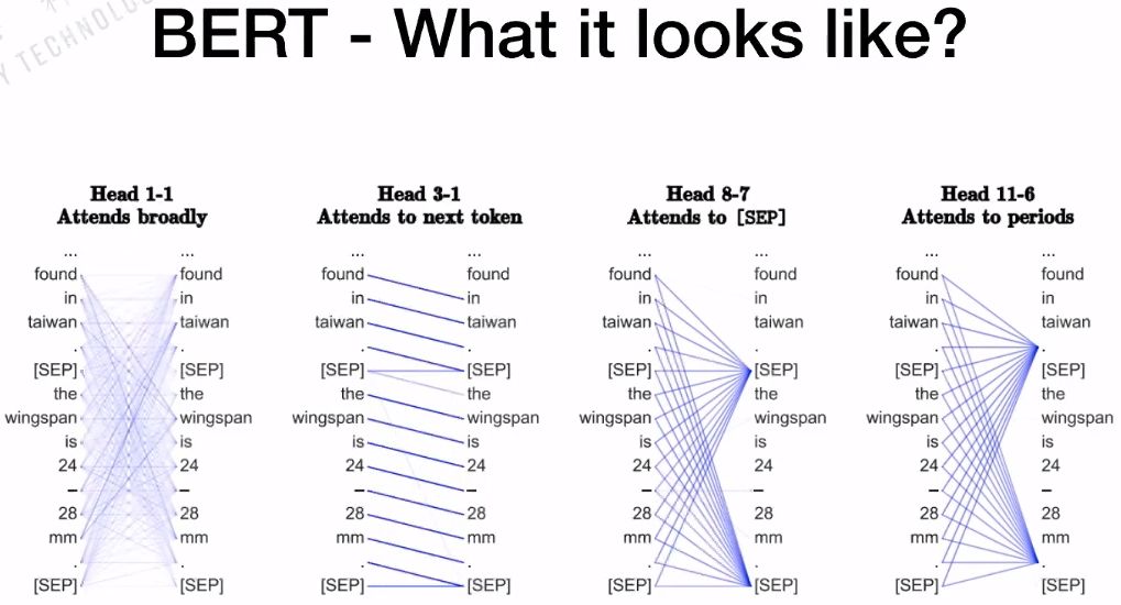 A Detailed Explanation from Transformer to BERT Model