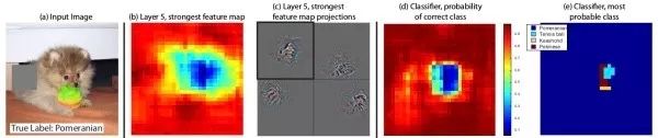 Essential Readings in Computer Vision: Tracking, Compression, Classification, and Recognition