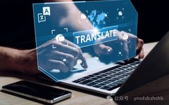 Challenges And Reflections On Machine Translation In The Digital Age