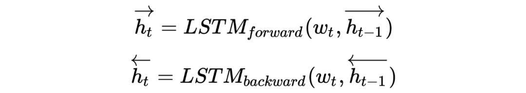 A Comprehensive Overview of Named Entity Recognition (NER)