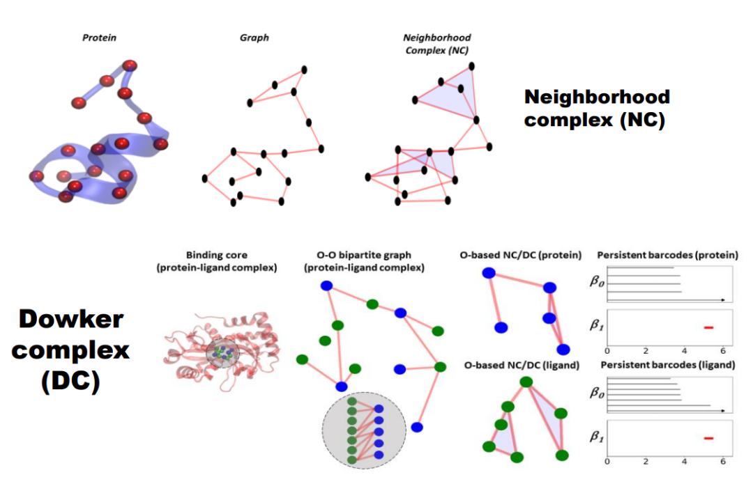 When Machine Learning Meets Topology: Topological Data Analysis and Topological Deep Learning