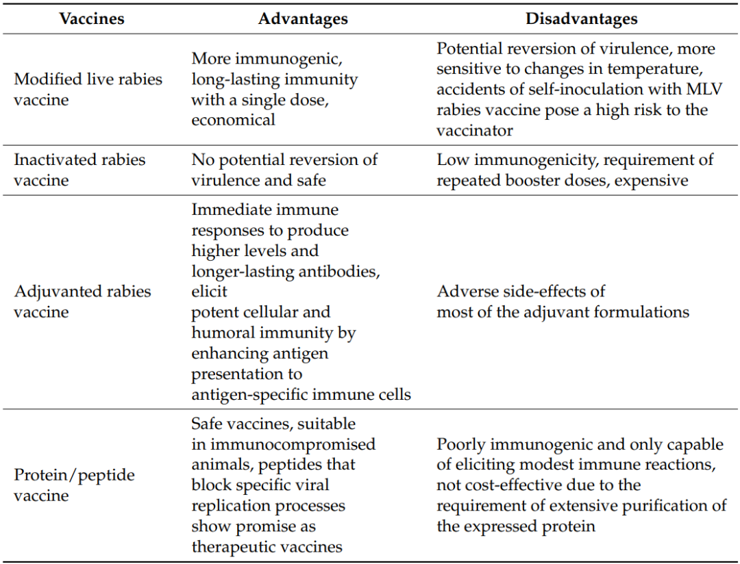 The Evolution of Rabies Vaccines: A Comprehensive Review