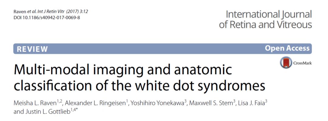 Comprehensive Guide to White Dot Syndromes
