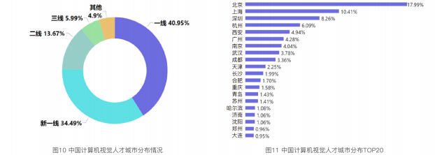 2021 China Computer Vision Talent Research Report