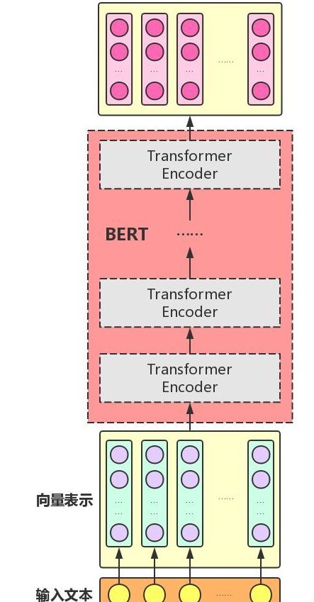 Understanding BERT: Interview Questions and Insights