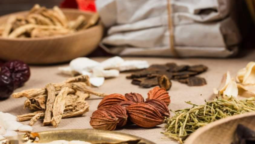 Exploring AI Interpretability in Medicine through Traditional Chinese Medicine