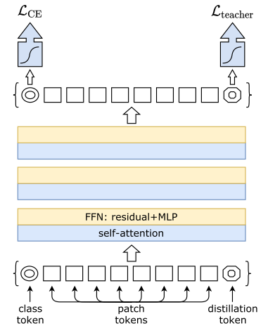 Fast and Effective Overview of Lightweight Transformers in Various Fields
