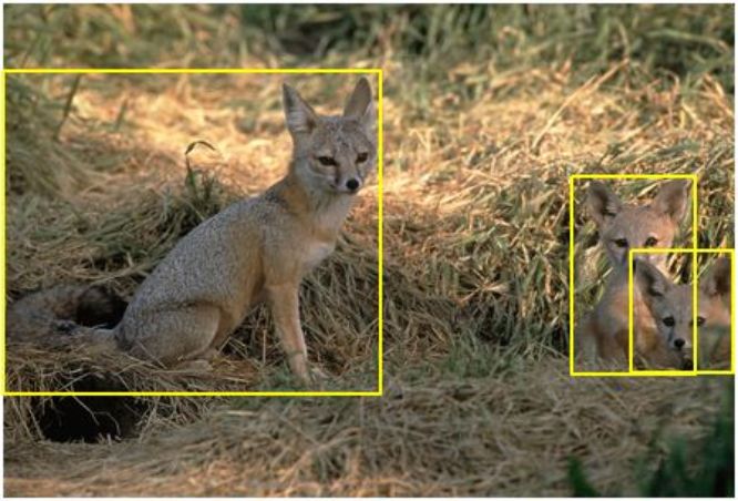 Fundamental Concepts of Computer Vision
