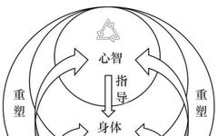 Embodied Cognitive Intelligence Framework for Autonomous Unmanned Systems