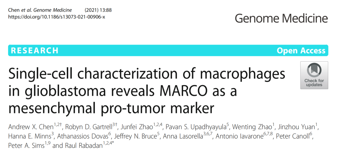 Single-Cell Features of Glioblastoma Macrophages Reveal MARCO as a Stroma-Related Tumor Marker