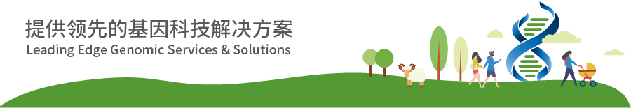 Introduction to KNN Algorithm