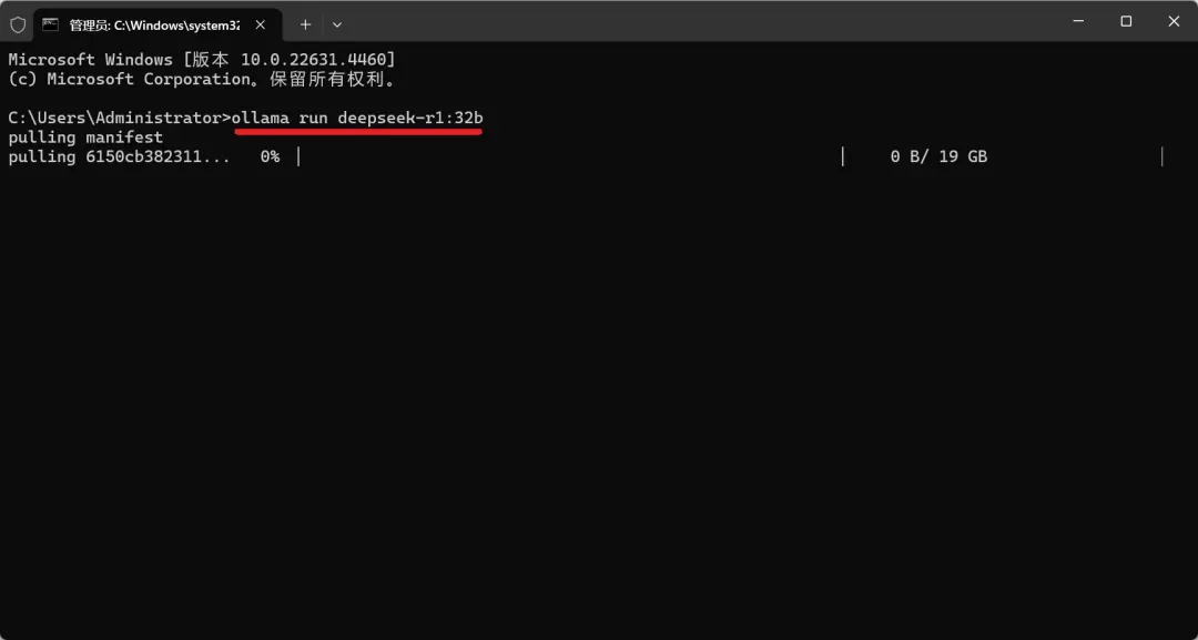 Deploying DeepSeek Locally: A Step-by-Step Guide