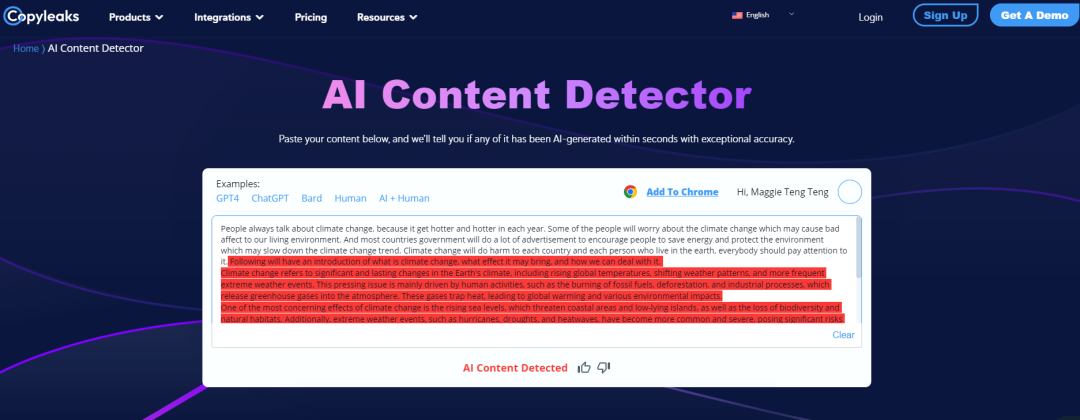 AI Literacy and AI Detectors