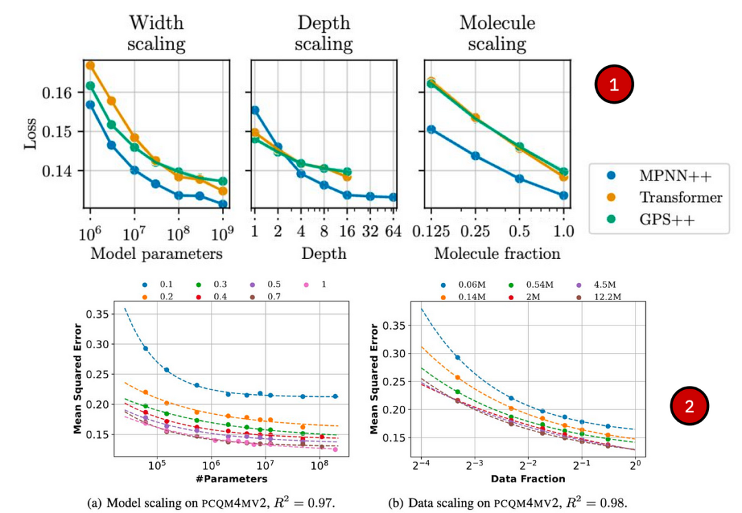 Foundation Models of Graphs and Geometric Deep Learning