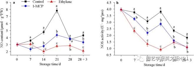 Effects of 1-MCP on Proline, Polyamine, and Nitric Oxide Metabolism in Postharvest Peach Fruits under Chilling Stress